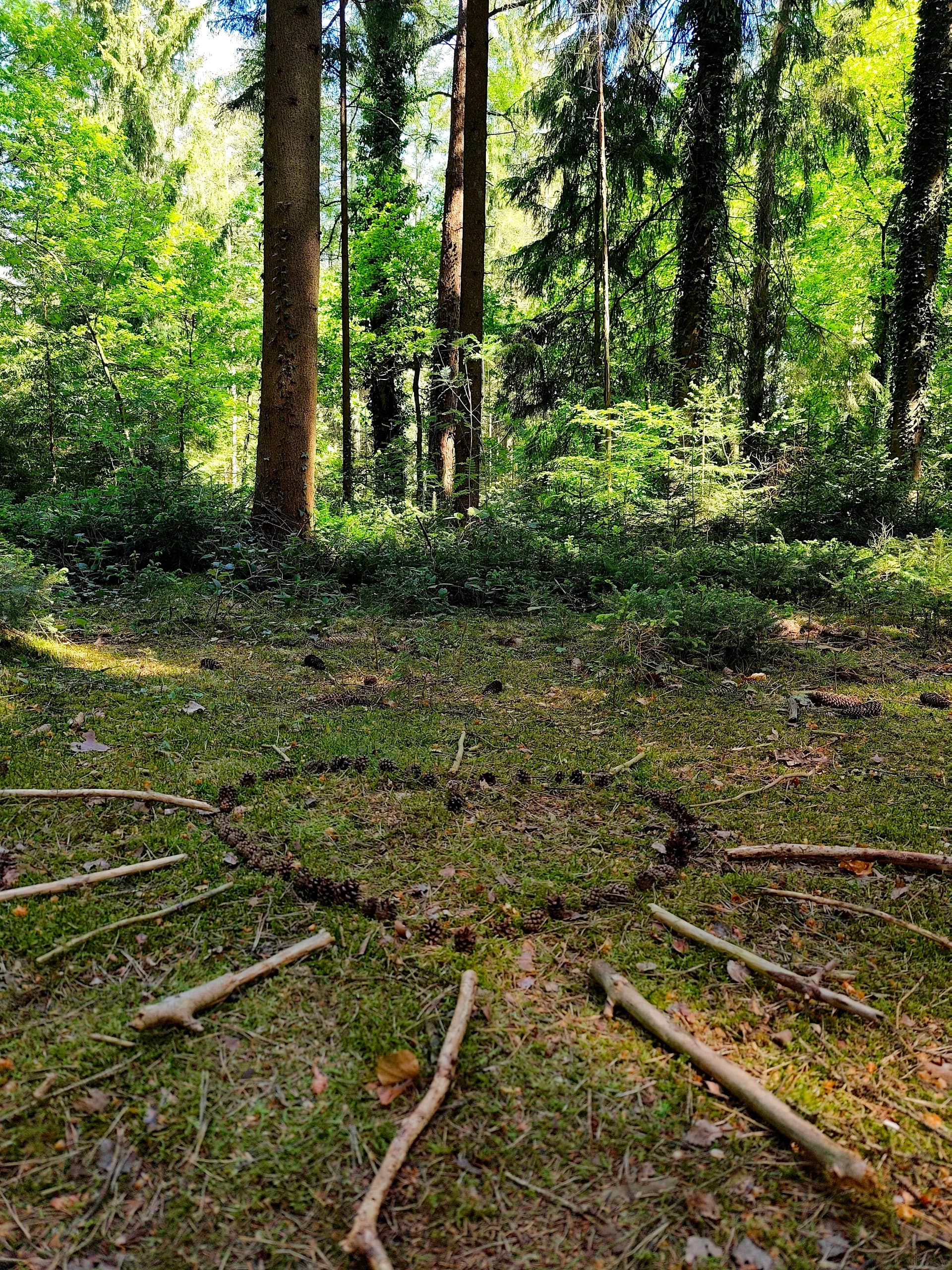 Frauenkreis im Wald