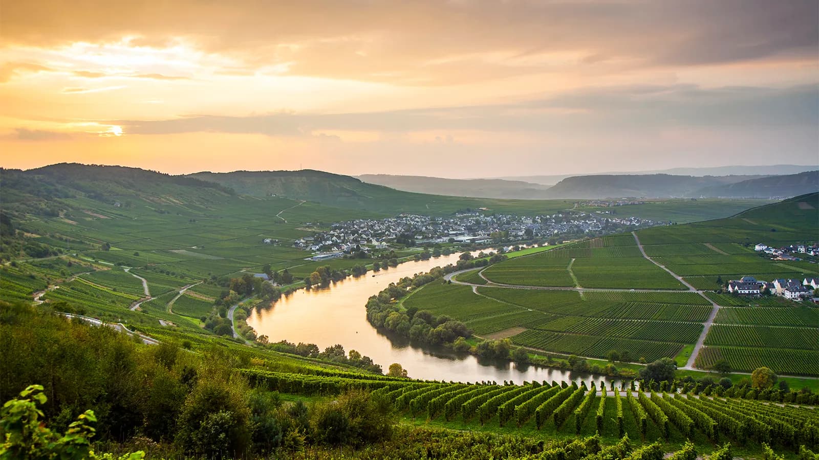 Weintasting: Deutschlandreise