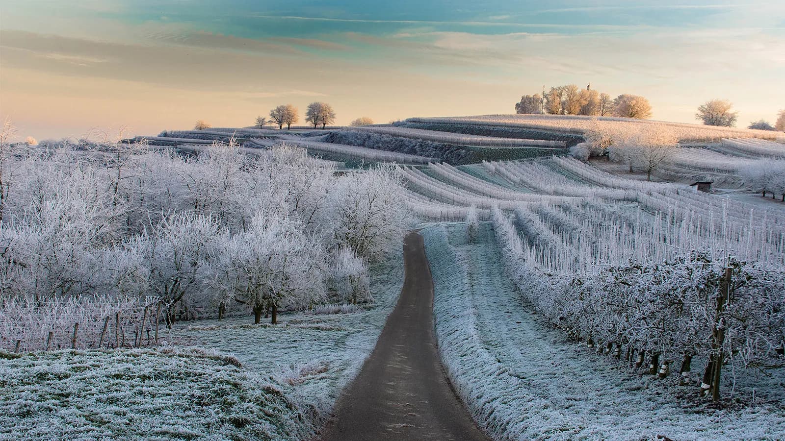 Weintasting: Große Winterweinprobe im Speicher I