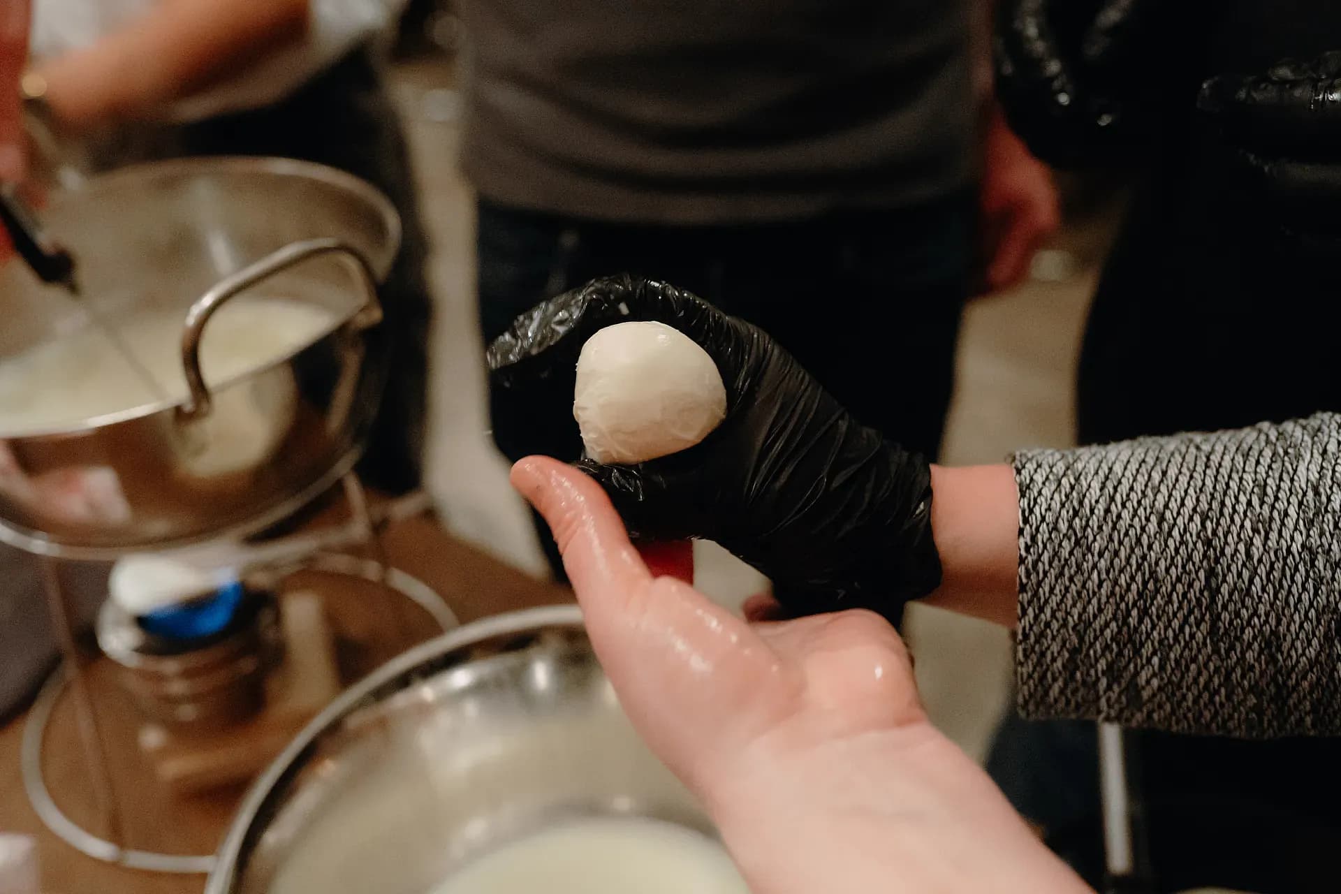 Mozzarella-Kurs mit Weinbegleitung - Ottensen/Hamburg