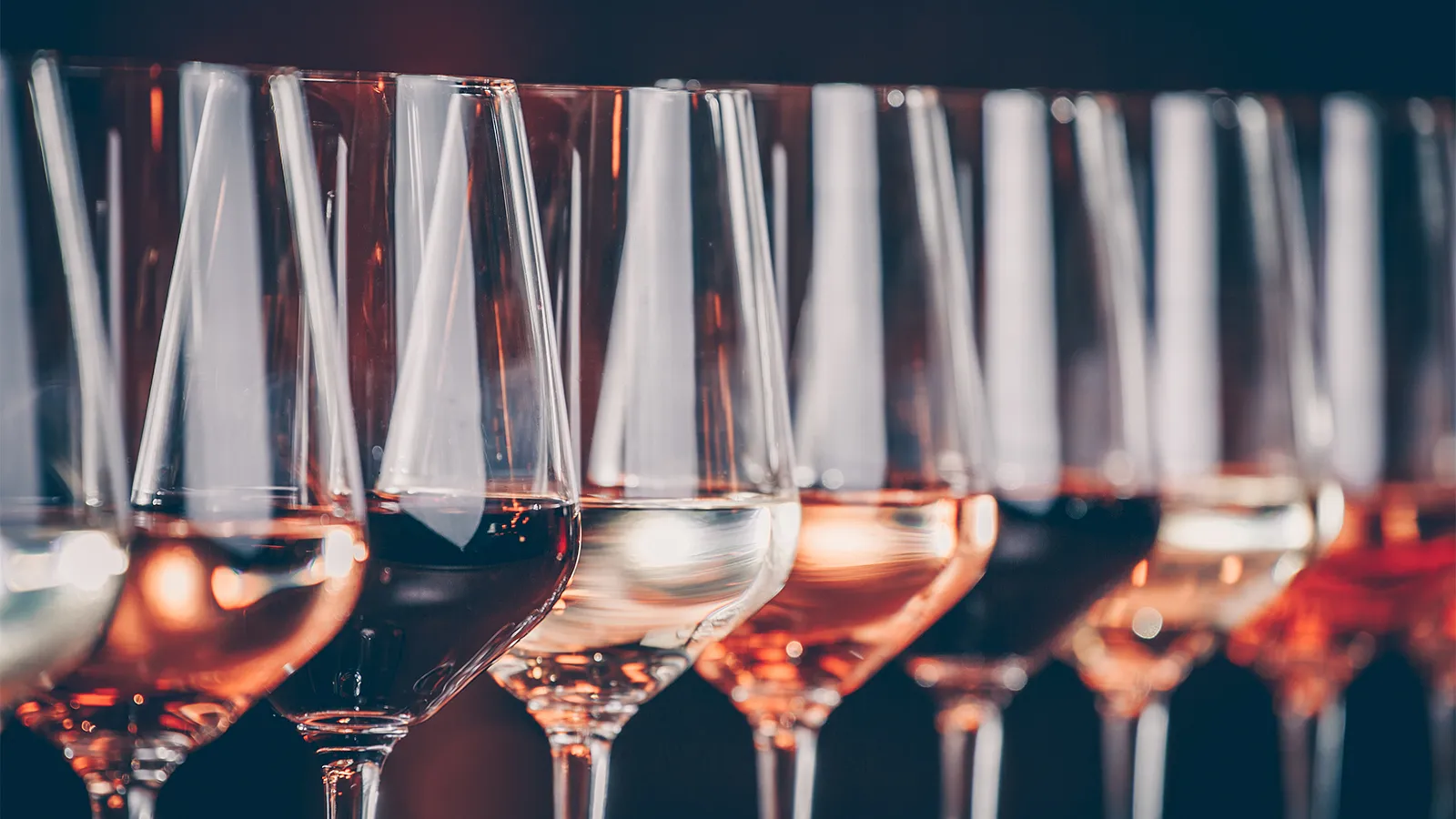 Sensorikkurs: DIE GROSSE SCHULE DER WEINE im Weinlager Bremerhaven