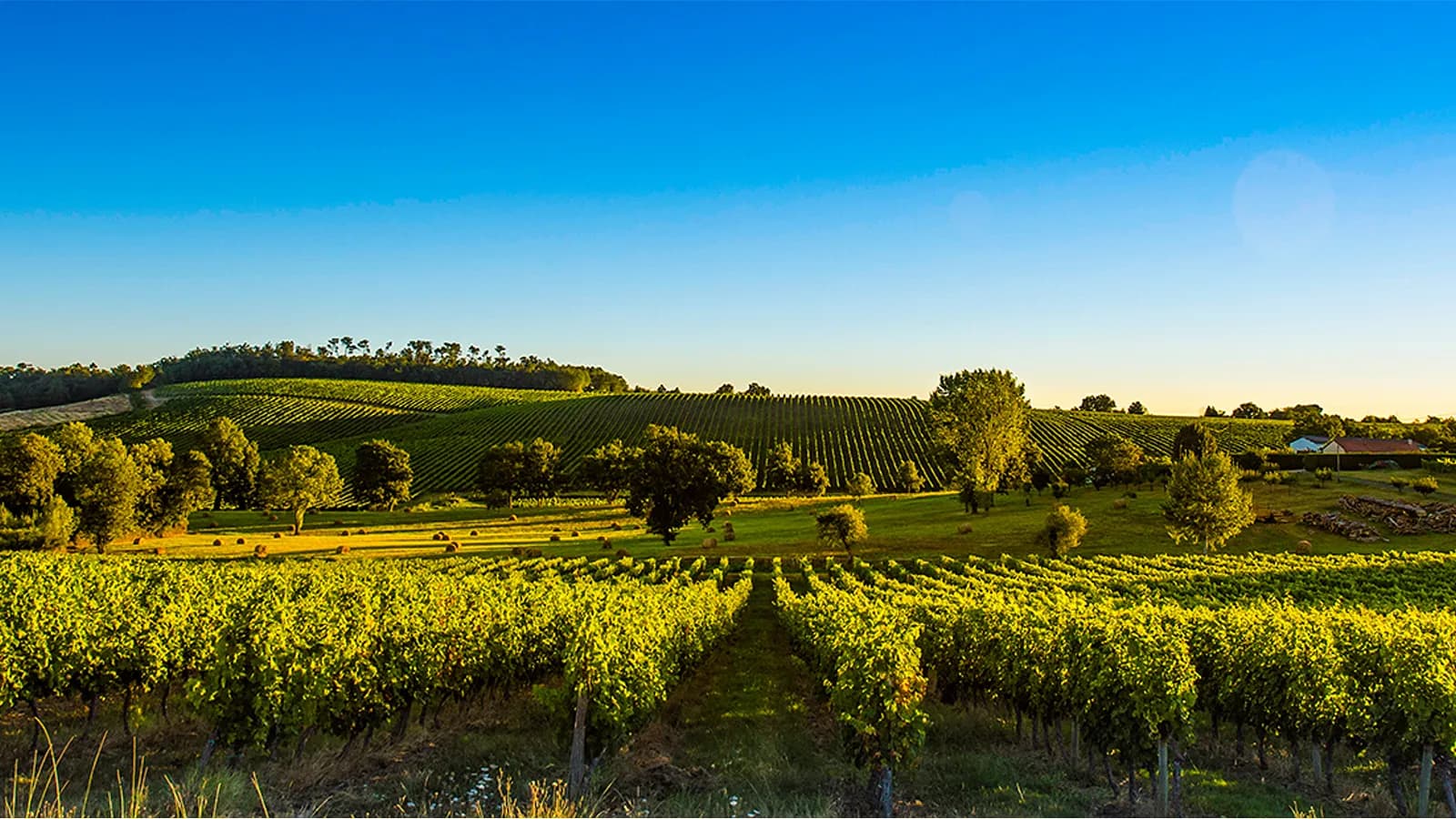 Weintasting: Frankreich Rundreise im Weinlager Bremerhaven