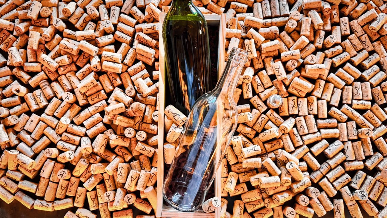 🍾 Label your Wine bei Vivolovin